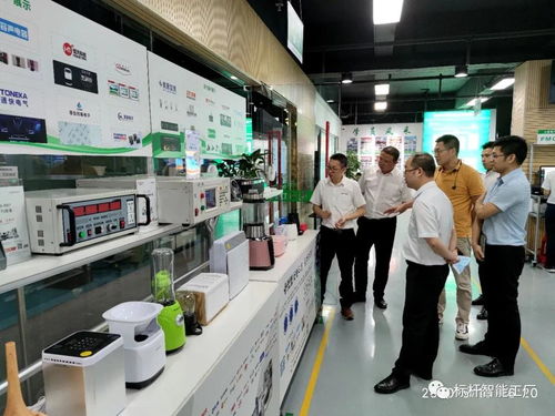 熱烈歡迎中山工信廳及工業互聯網與數字產業領導深入調研家電集群與安裝服務