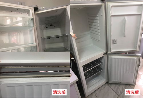 家電清洗與專業(yè)安裝 守護(hù)家庭健康與安全的雙重保障